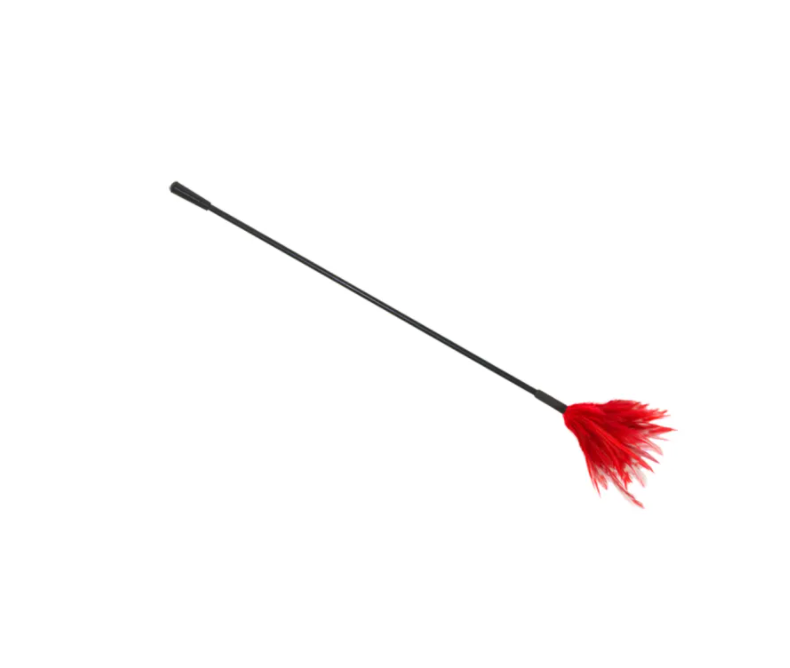 Love In Leather Feather Tickler Red