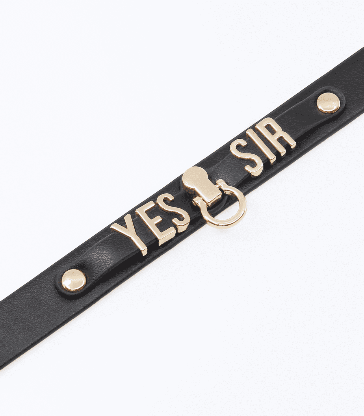 Love In Leather 'Yes Sir' Faux Leather Collar
