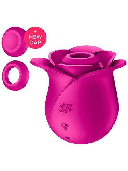 Satisfyer Pro 2 Air Pulse Rose Stimulator Modern Blossom