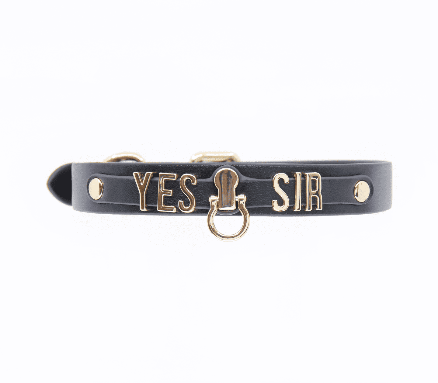 Love In Leather 'Yes Sir' Faux Leather Collar