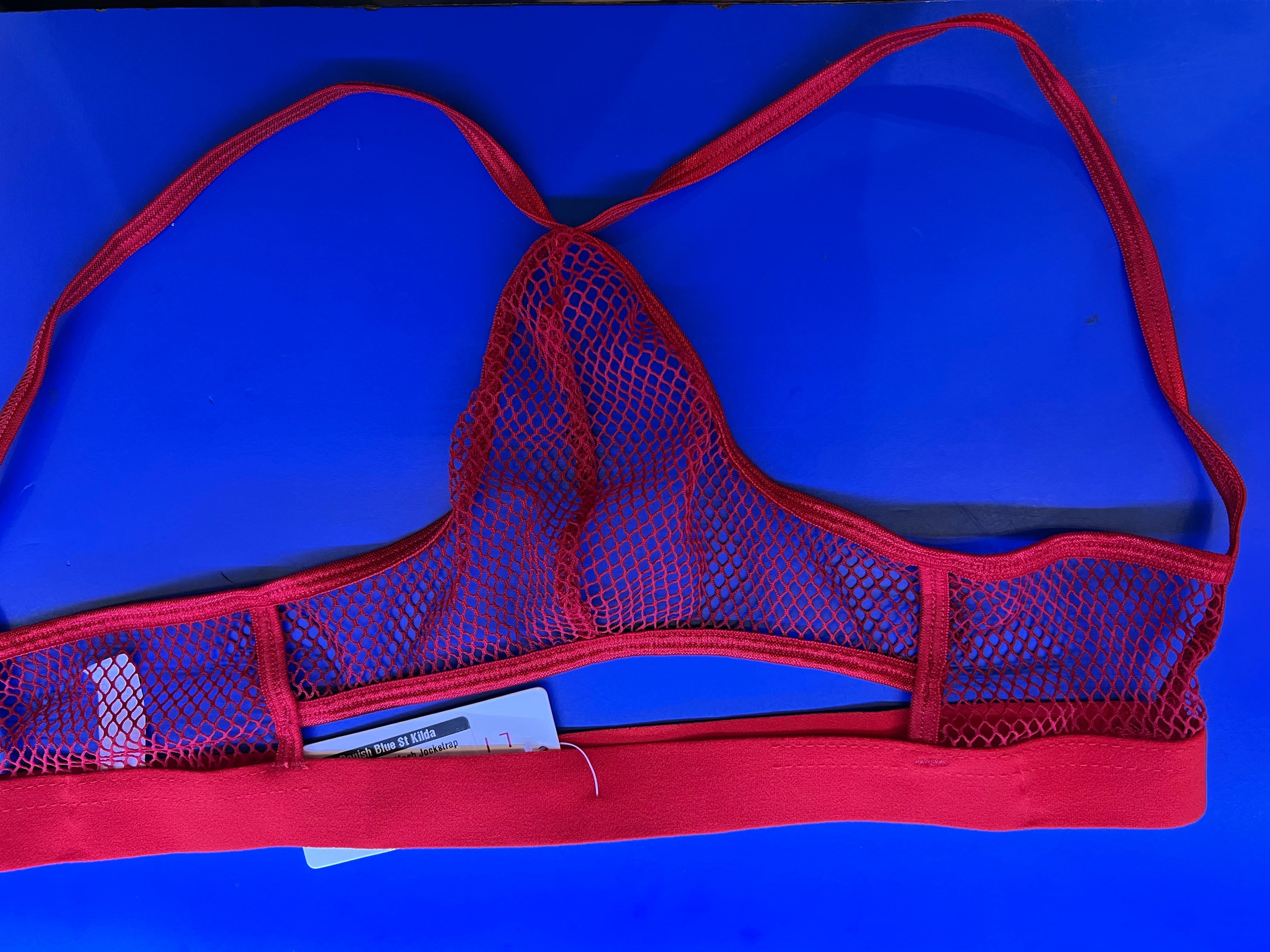 Men's Mesh Jockstrap-Clothing - Underwear & Panties - Mens Room in Front-Poison Rose-Danish Blue Adult Centres