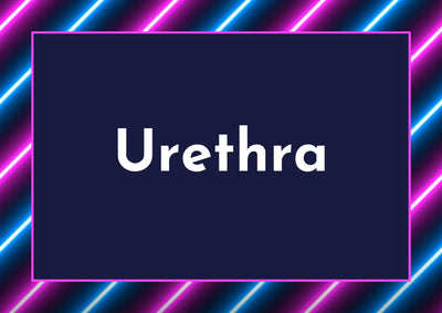 Urethra Danish Blue Fetish
