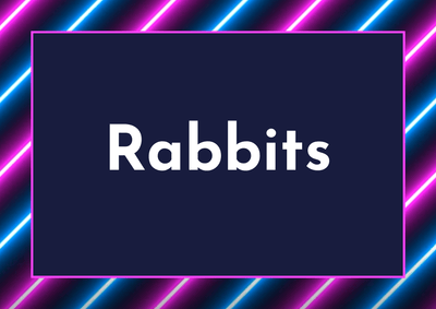 Rabbits