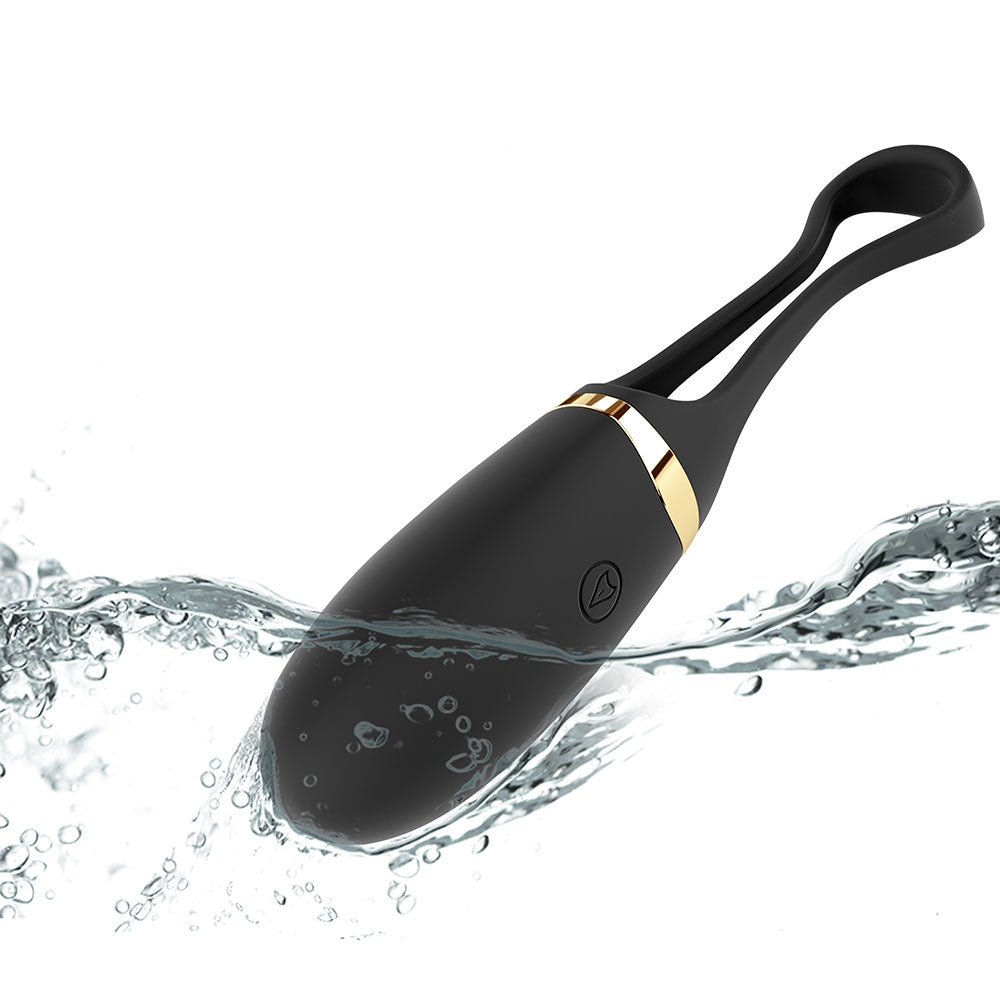 Dorcel Secret Delight luxury couples vibrator on display