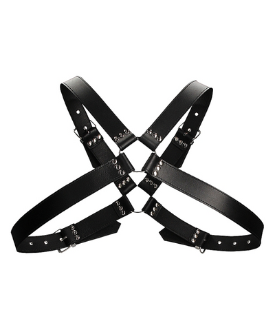 Men's Large Buckle Harness