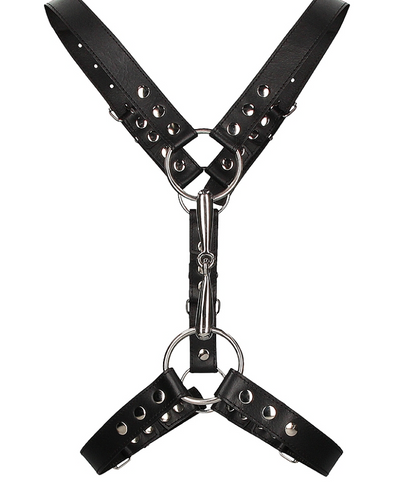 Men's Harness With Metal Bit