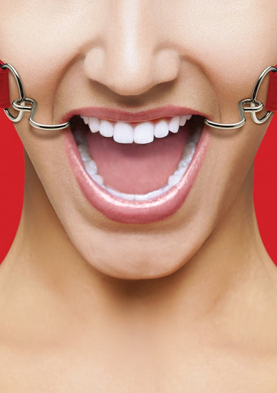 Ouch! Hook Gag With Leather Straps Black