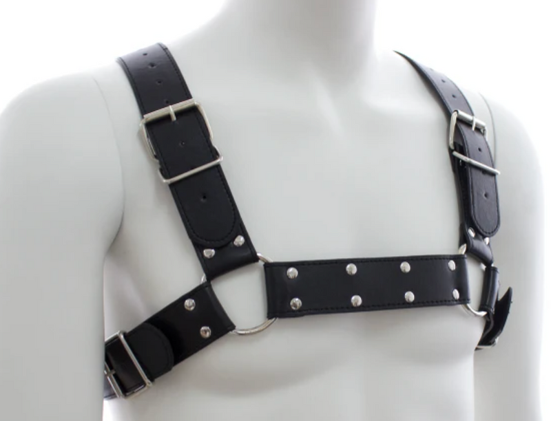 Poison Rose Mens Harness