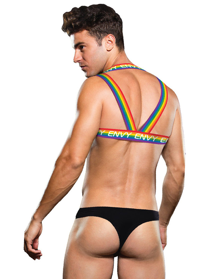 Envy Rainbow Harness-Clothing - Accessories - Harnesses-Envy-Danish Blue Adult Centres