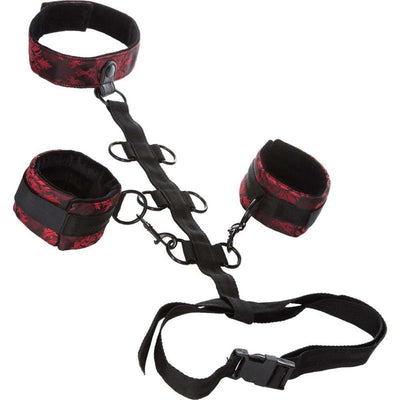 CalExotics Scandal Collar Body Restraint Red-Bondage & Fetish - Cuffs & Restraints-CalExotics-Danish Blue Adult Centres