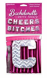 Party Favors "Cheers Bitches" Party Banner-Novelty - Party-Pipedream-Danish Blue Adult Centres